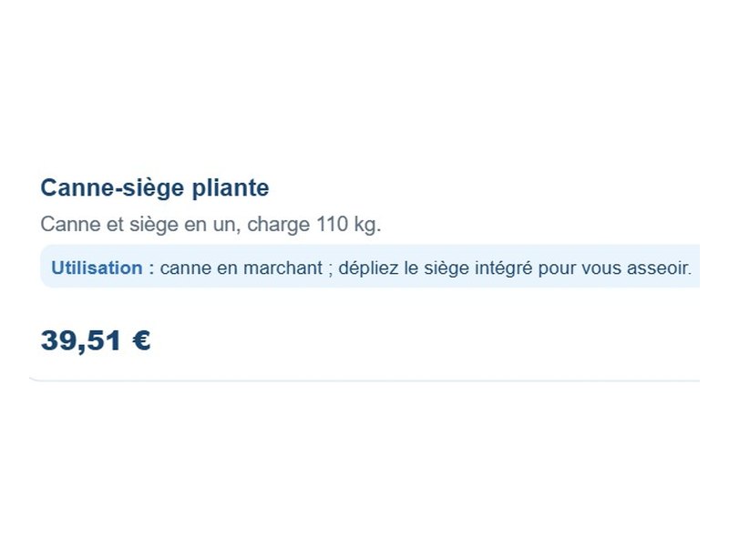 Canne-siège pliante