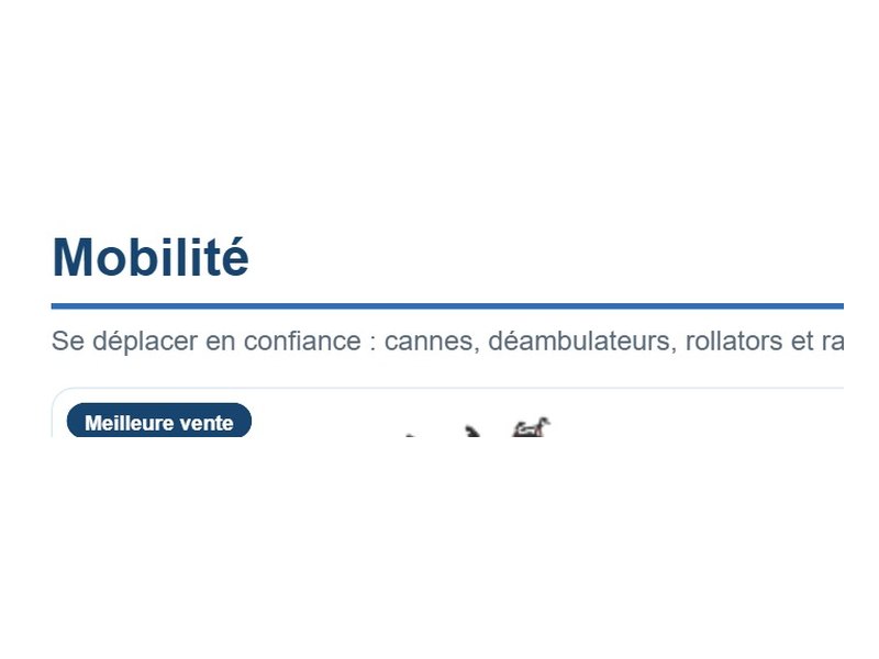 Rollator 4 roues pliant